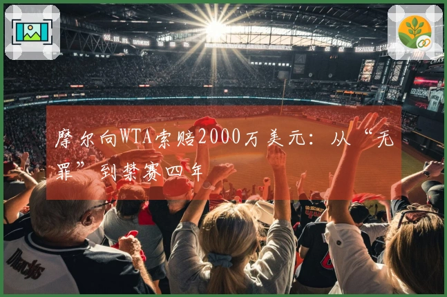 摩尔向WTA索赔2000万美元：从“无罪”到禁赛四年