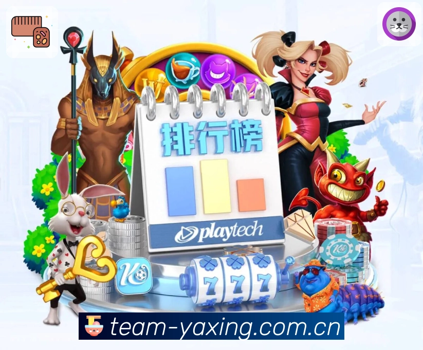 关注球队与联赛